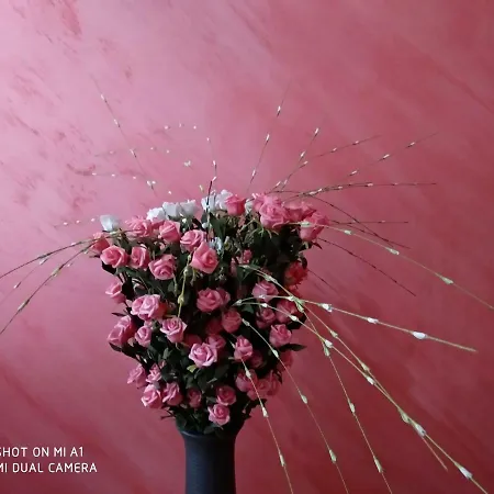 Chowdhury House Unit 2